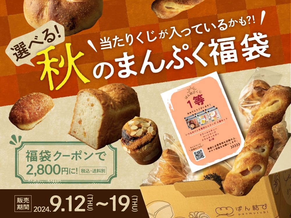 シュワッ！とパンチ 1kg シュワットパンチ シュワッとパンチ取説＋