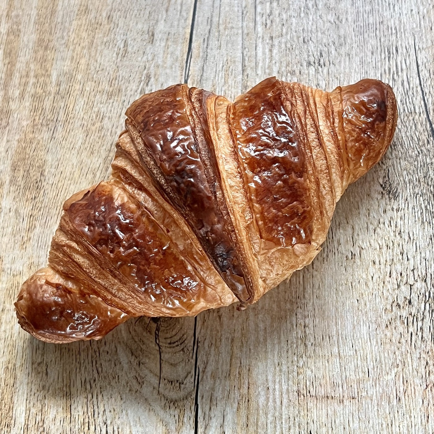 ぱん結びデビューBOX【バラエティセット】