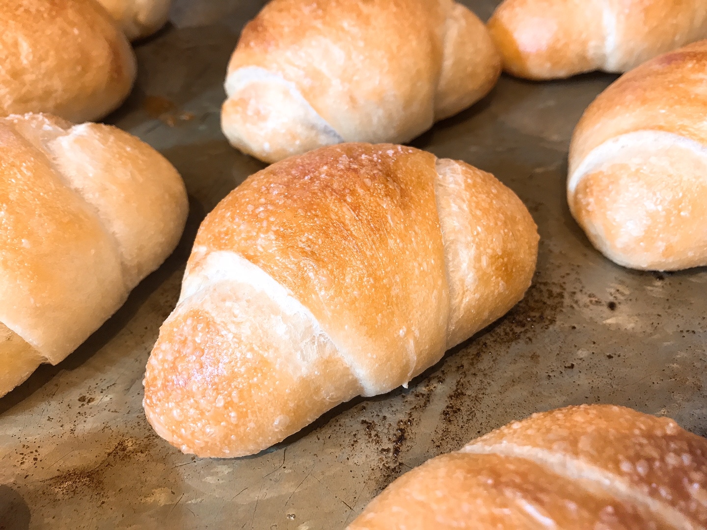 定番や季節のパンなど何が入るかはお楽しみ