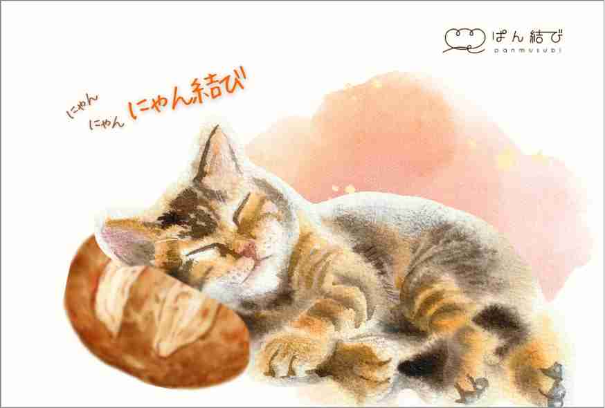 ポストカード_ねこ画像