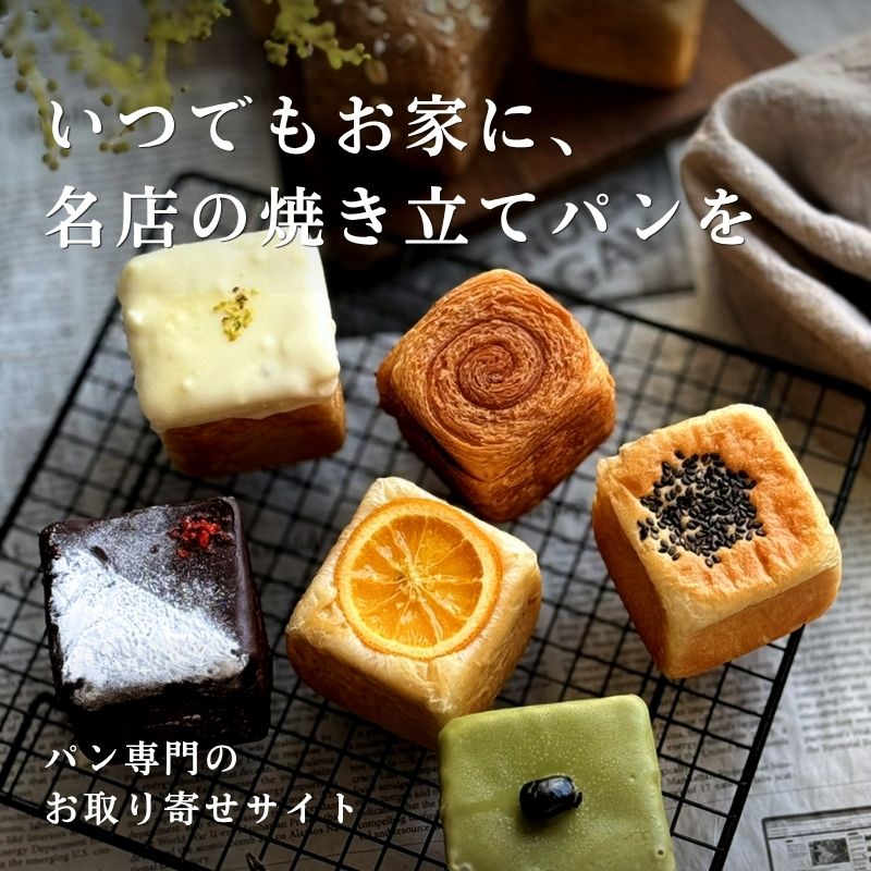 クリームパンさん専用② パンさん専用 2個セット)クリームパンさん専用